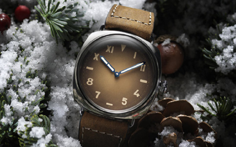 ?？谂婕{海服務中心（解決沛納海表殼生銹）